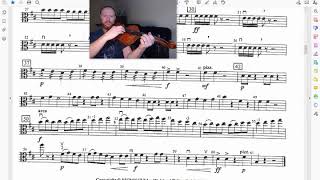 Viola Night Shift 42-50