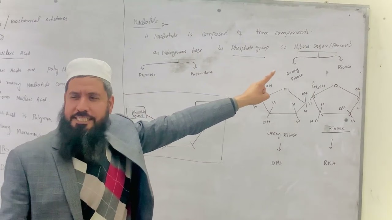 Nucleic Acid its classification, composition and function