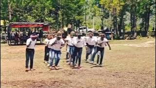 Aster_wisisi_wamena_(pugima)_terbaru_2021....