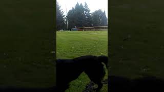 Contreras Garay 2017(5)