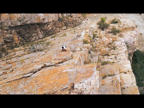 Free Soloing a Terrifying Route (Crescendo, 5.9)