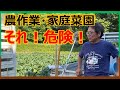 【農作業】【家庭菜園】畑にひそむ数々の危険