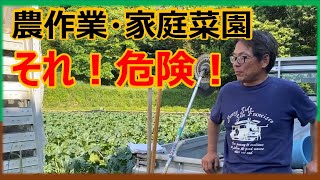 【農作業】【家庭菜園】畑にひそむ数々の危険