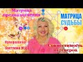 МАТРИЦА СУДЬБЫ Совместимость #онлайн #нумерология #расчет Светлана ВЕДА