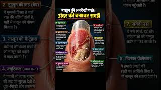 नाखून और उसकी परतें #gk #statik_gk #upsc #pcs #ssc #rrb #exam #shorts #india #motivation