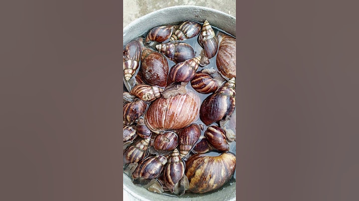 comment préparer les escargots