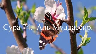 Сура 74. Аль Муддассир.