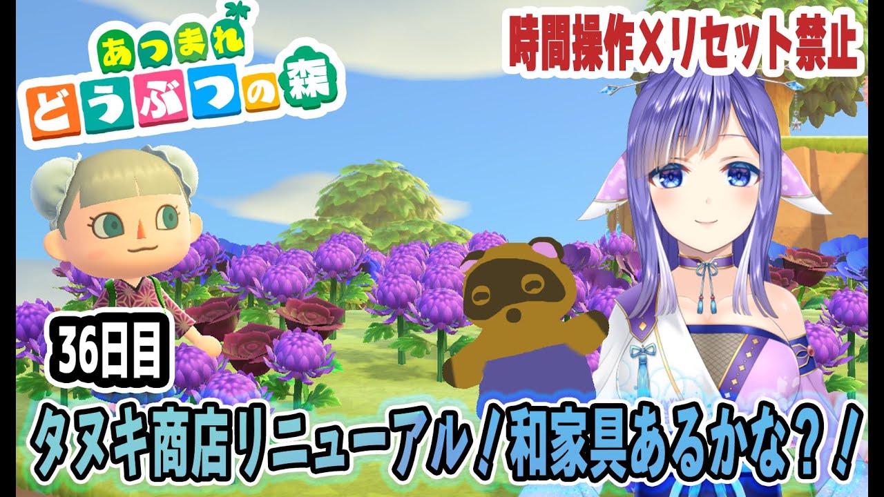 タヌキ商店リニューアル！今日も島整備だぞ～🌿｜あつ森36日目 