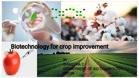 Biotechnology for Crop Improvement - By Shwetha C