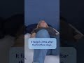 Love The Smell Of Lavender Tulo Mattress Review Shorts Love The Smell Of Lavender Tulo Mattress Review Shorts