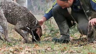 La nostra TRUFFLE EXPERIENCE - Acqualagna Tartufi e Braceria Plinc