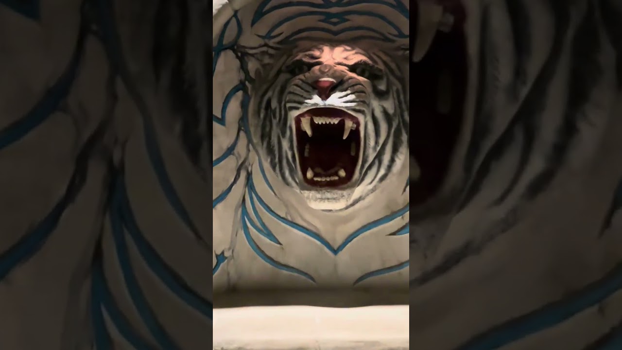 𝓟𝓱𝓸𝓷𝓮 𝓓𝓾𝓶𝓹: Sisters Night Out👸🏾 