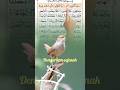 surah anaba#vidioshort#murottal#viralvideo