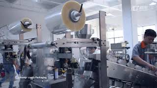 Letamp Semi Automatic Chain Bucket Vertical Small Packing Machine ZV-320B
