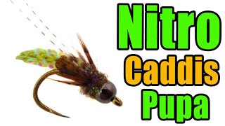 Nitro Caddis Pupa Fly Tying