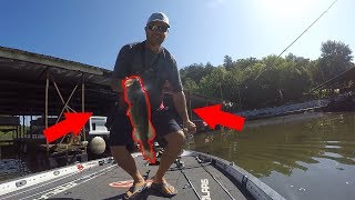 This New Lake Surprised me!!! Didnt expect these!