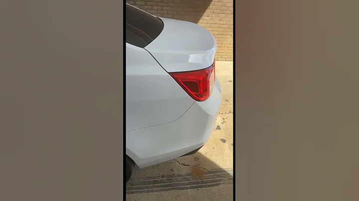 2 12s Subwoofer System Reveal (Trunk Twerking)