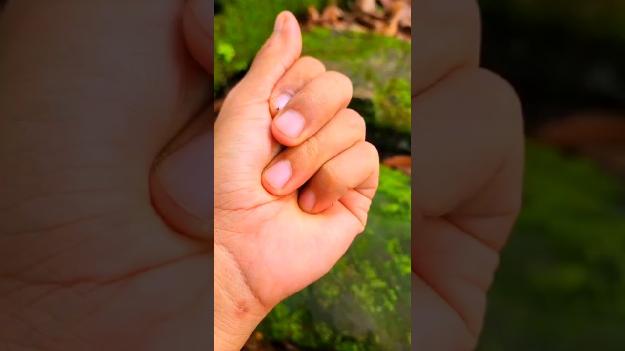 what is it super hero surprising amazing 