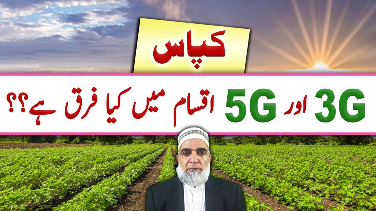 Difference between 3G and 5G Cotton varieties || Crop Reformer