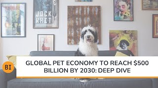 Global Pet Economy to Reach $500 Billion: Deep Dive