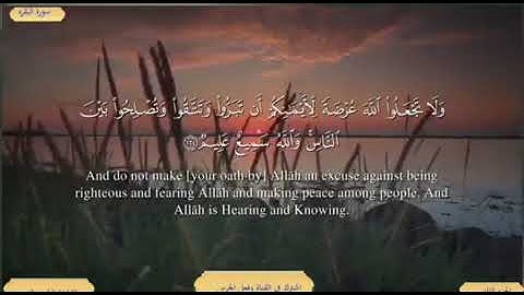 سورة البقرة من الاية ( 222 ) الى الاية ( 231 ) مكررة للحفظ بصوت ( ياسر الدوسري )