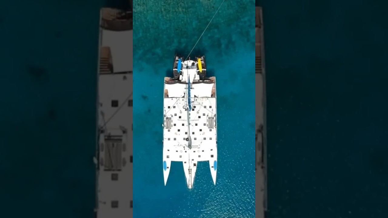 All Star Cuan Law - BVI 🏝️