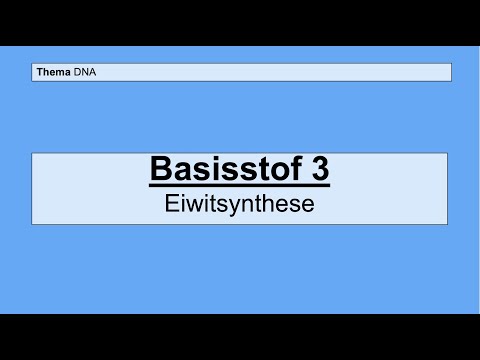 Video: Waarom is DNA belangrijk voor eiwitsynthese?