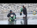 Mira la suerte que tienen estos DOS PESCADORES Atarrayeros