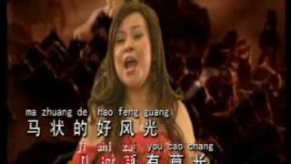 万里长成(wan li chang cheng) 王玉莲(wang ie ling)