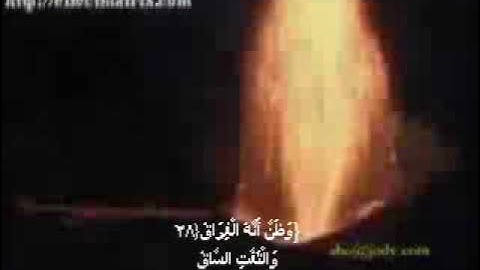 الشيخ/ علي راشد المصنفwmv سورة القيامة