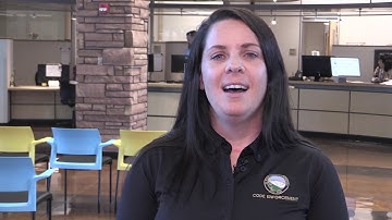 Learn how to submit a Code Enforcement Violation Online: EDARP