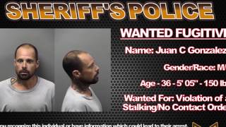 Warrant Wednesday (11/05/2014)