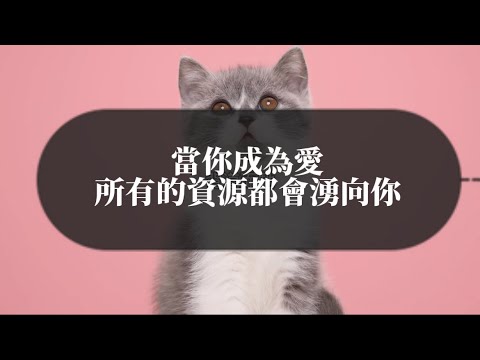 當你成為愛，所有資源都會湧向你
