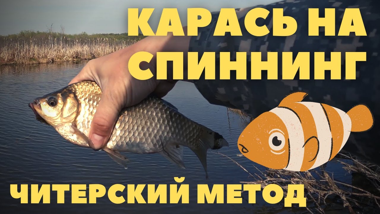 рыбалка в беларуси видео карась летом