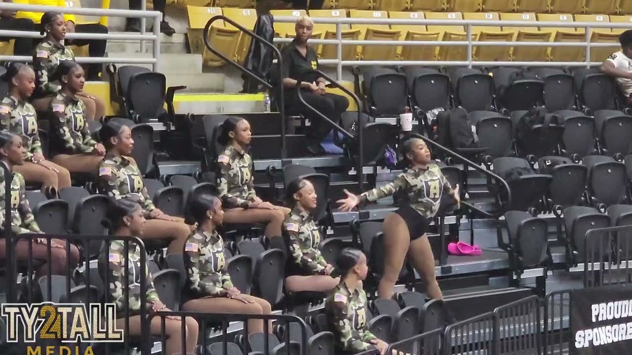 ASU Stingettes (basketball) - Everybody (MSVU) 