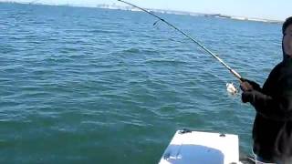 San Diego Bonefish: Chris and Sherrie's Double Bonefish Hookup!