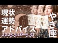 やぎ座さん5月16日から31日の運勢・アドバイス🍀*゜タロット占い