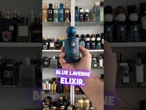 بلو لافيرن الكسير الجديد    