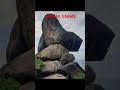 Similan Islands Holiday Trip
