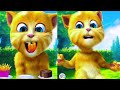 My talking ginger eating 🥥🍒🍈🍓🍍🍒🥑🥝🍏🍇🌽