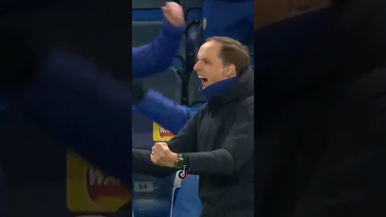 Mason Mount winning goal - All Reactions