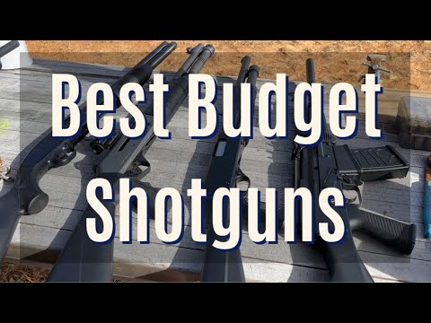 Best Budget Shotguns