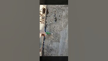 repair of column from Honeycombing