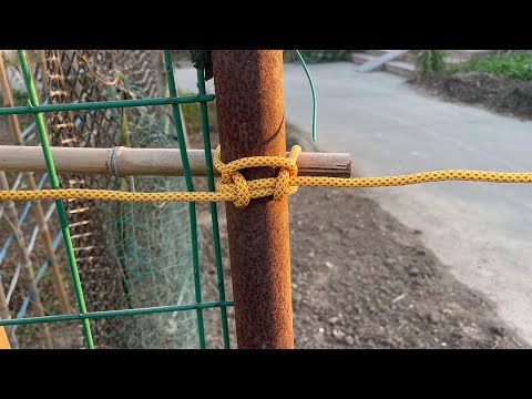 3 Knots You Need to Know | KnotMaster
