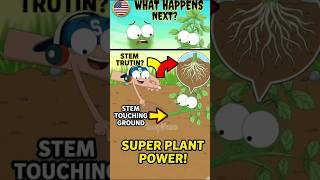 This Plant Hack Gives It SUPERPOWERS! 🌿😲 #shorts