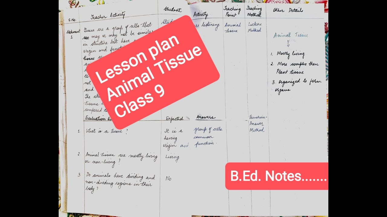 animal tissue lesson plan 9 with audio explanation - YouTube