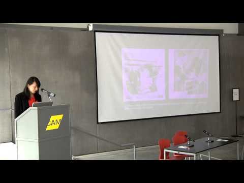 Marci Kwon: Folk Surrealism: Joseph Cornell at the Museum of Modern Art