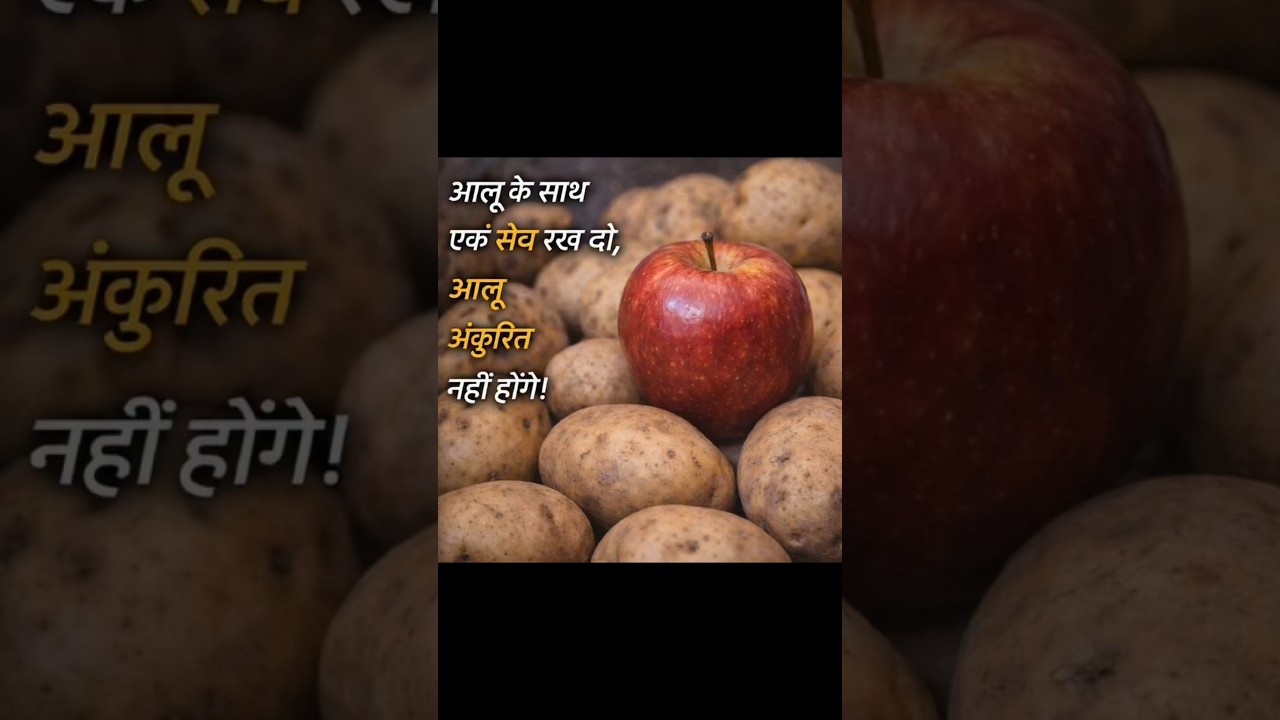 Top 3 Secret Amazing Kitchen Hacks |😱🤔😯|| 