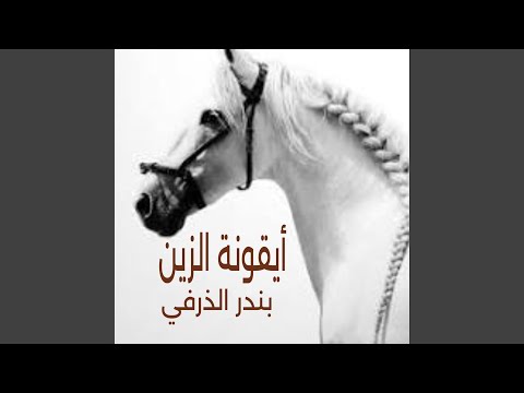 ايقونة الزين