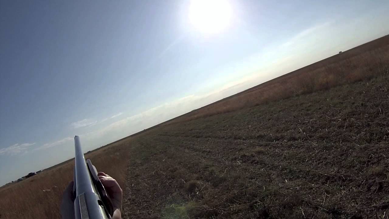 Sublette, Kansas - Golden Prairie Hunt 2013